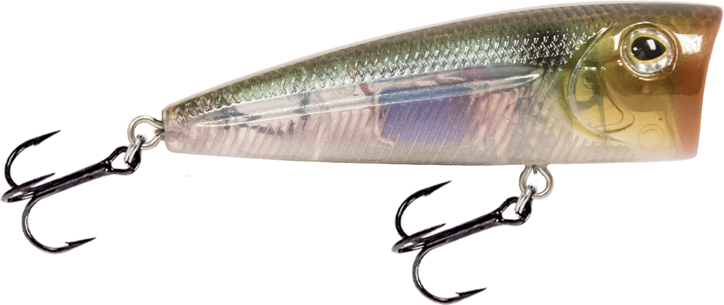 Livingston Lures Popper Ghost Gizzard Shad Walk N Pop 67