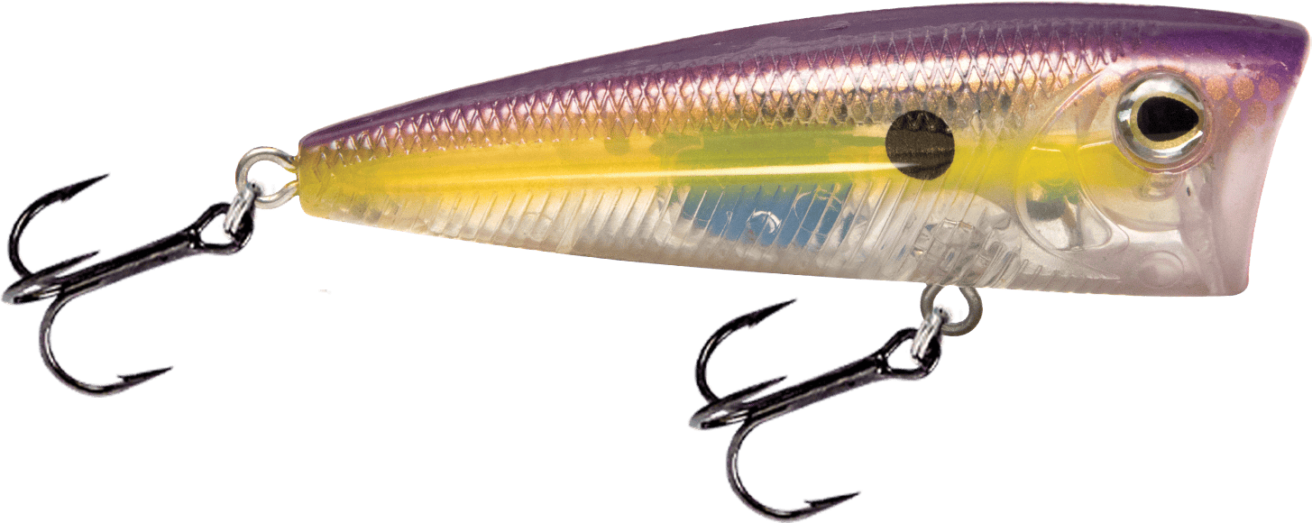 Livingston Lures Popper Ghost Purple Haze Walk N Pop 67