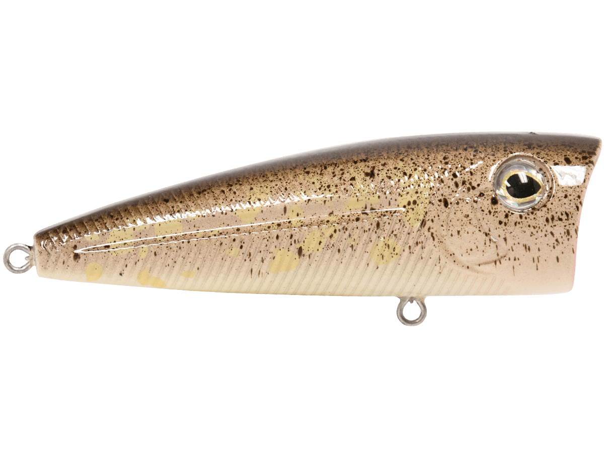 Livingston Lures Popper Goby WALK N POP 77 2