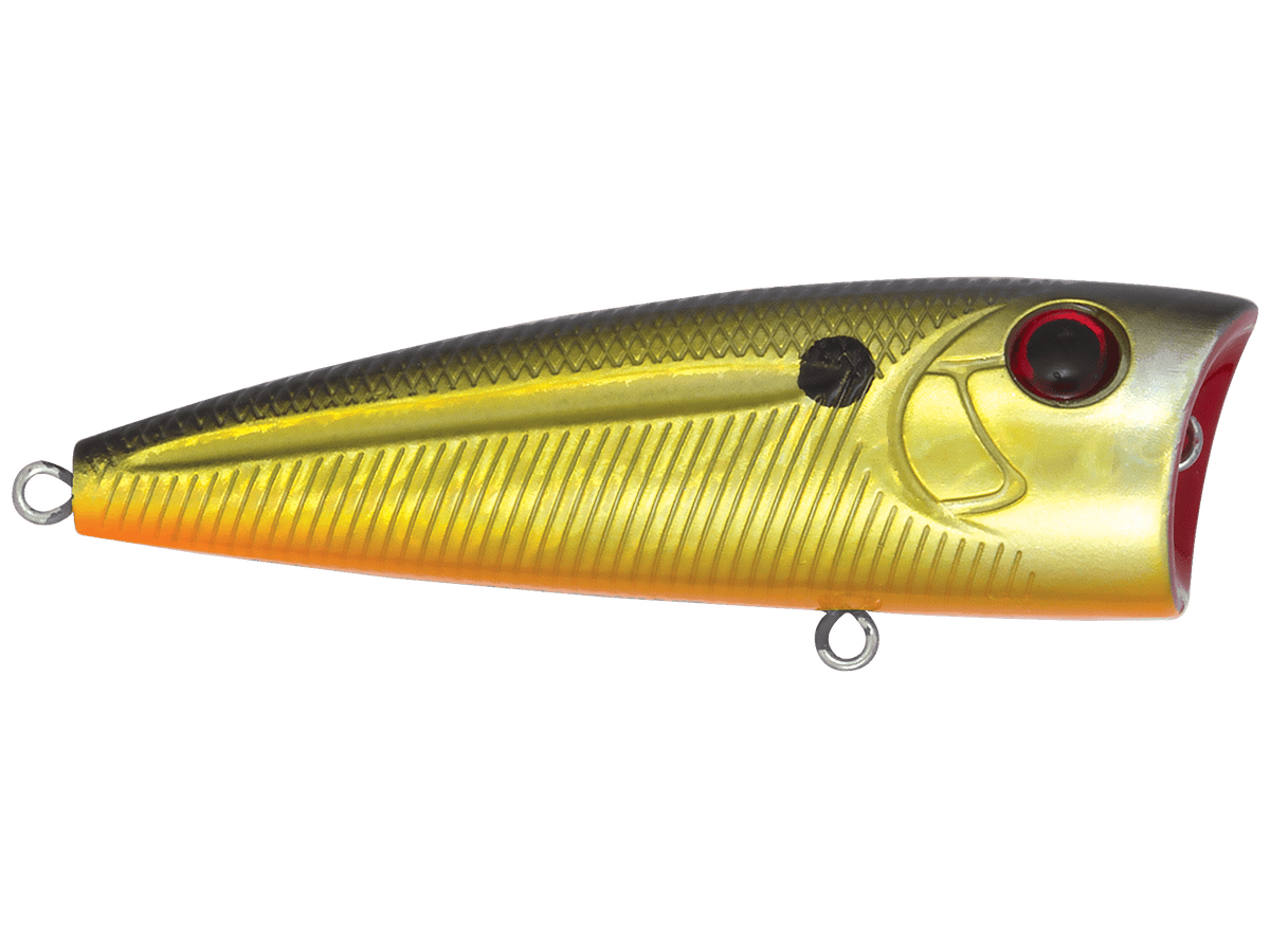 Livingston Lures Popper Gold Digger WALK N POP 77