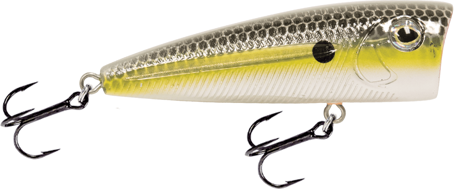 Livingston Lures Popper Gold XXX Shad Walk N Pop 67