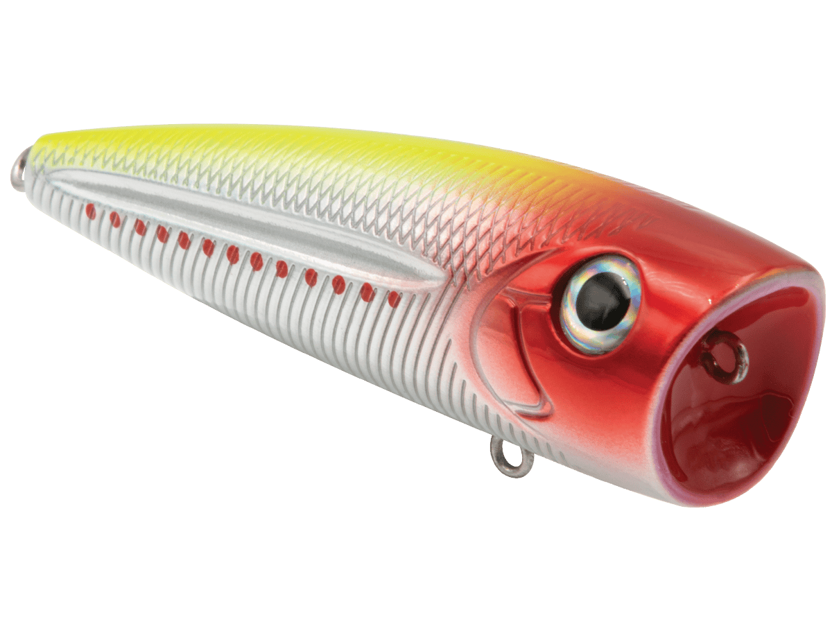 Livingston Lures Popper Money Clown WALK N POP 77