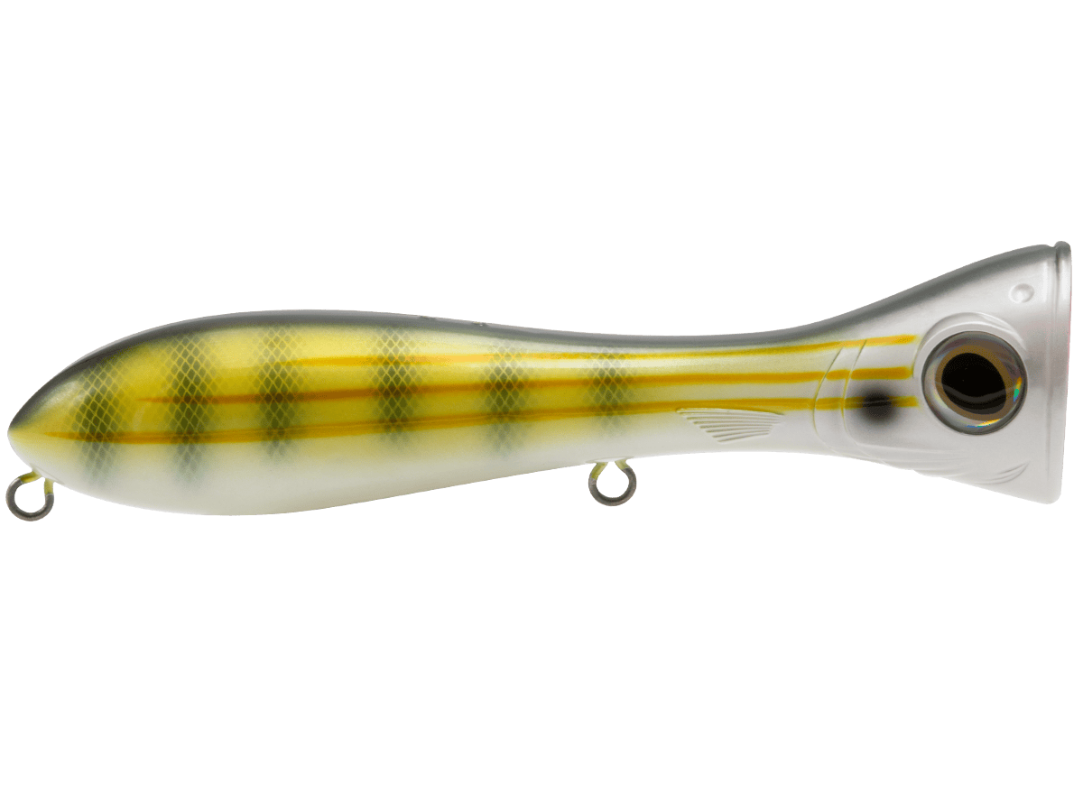 Livingston Lures Popper Pinfish Big Poppa 8"