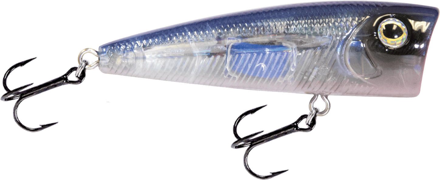 Livingston Lures Popper Pro Blue Walk N Pop 67