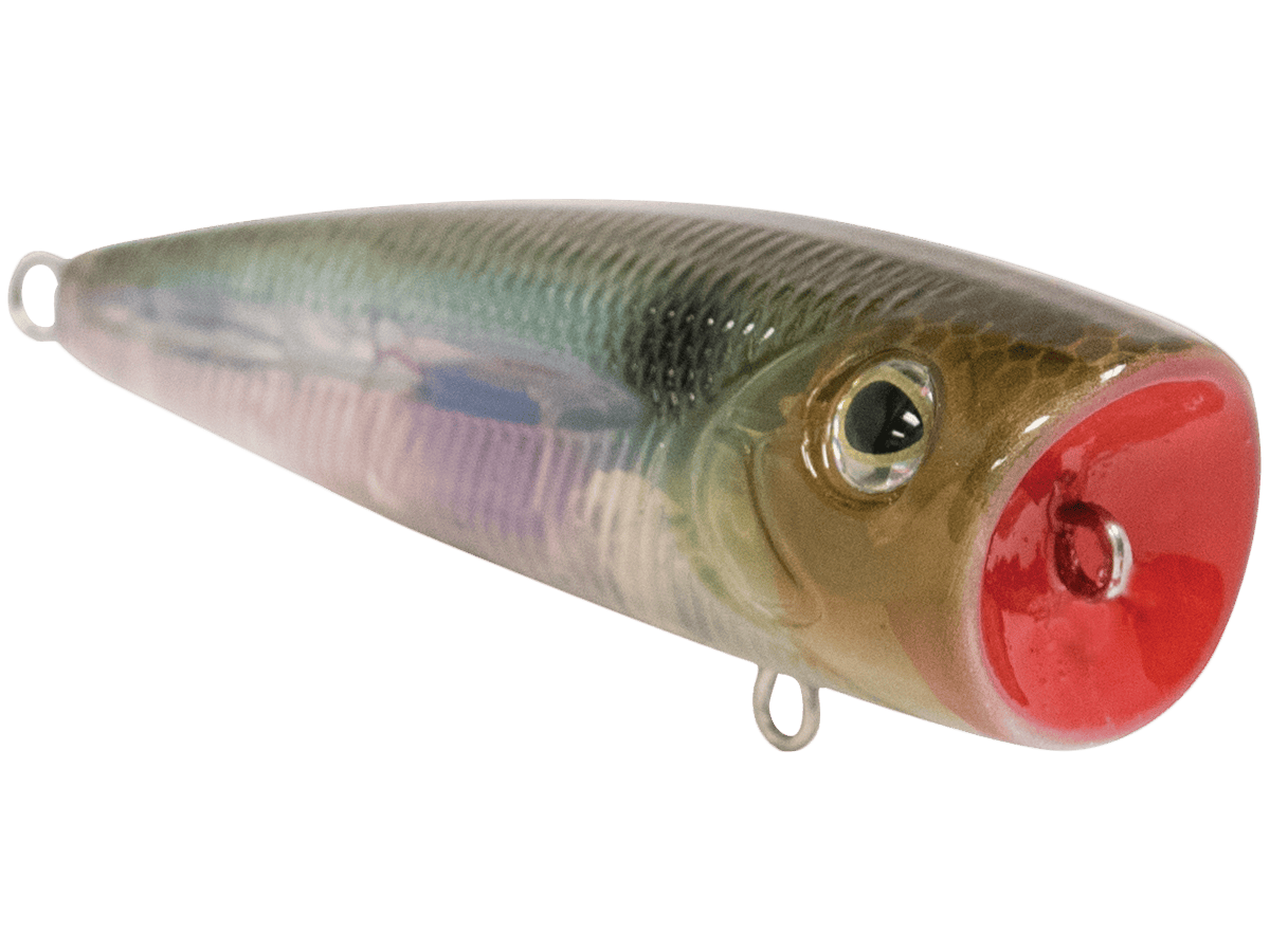 Livingston Lures Popper Walk N Pop 67