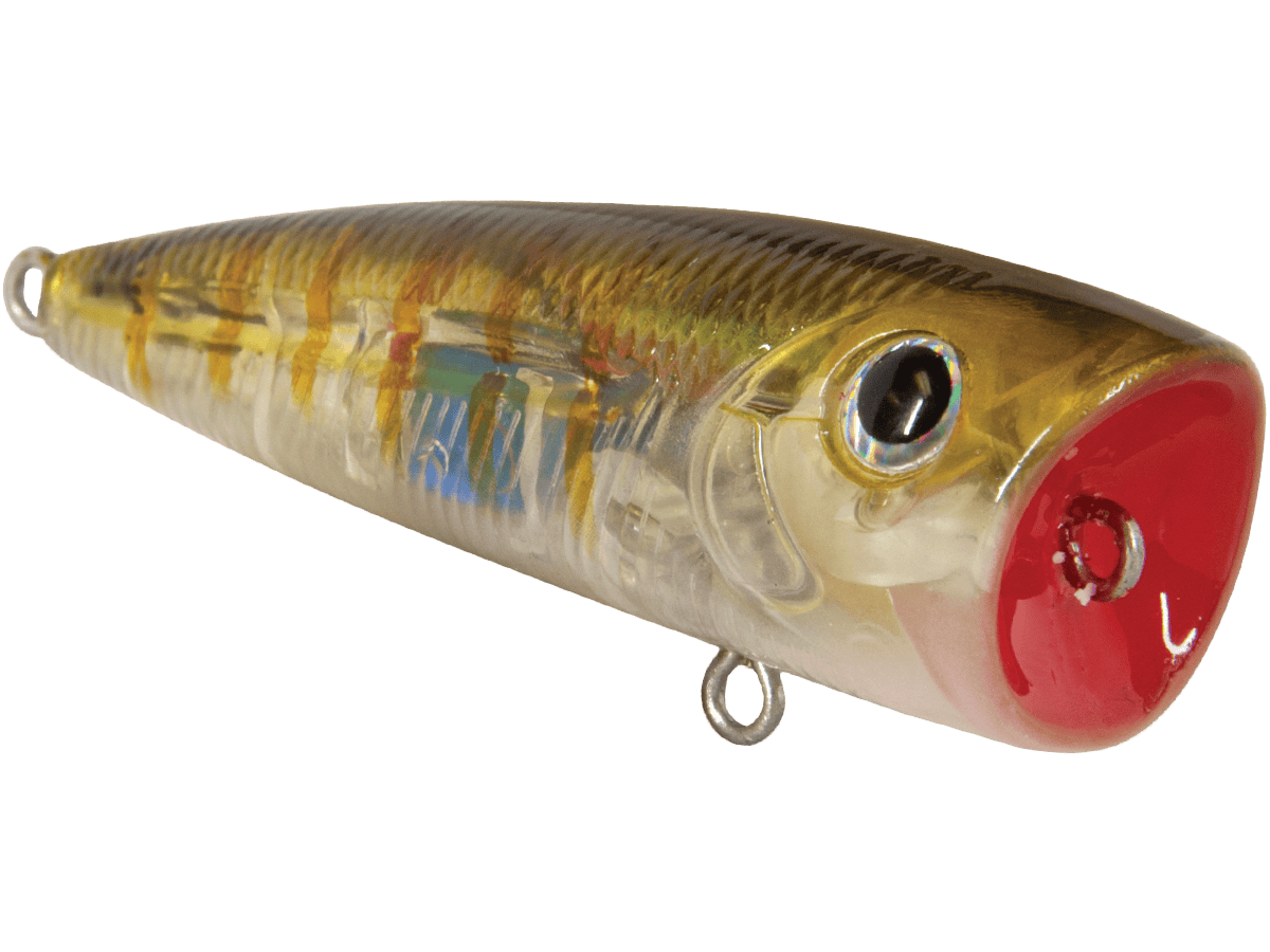 Livingston Lures Popper Walk N Pop 67