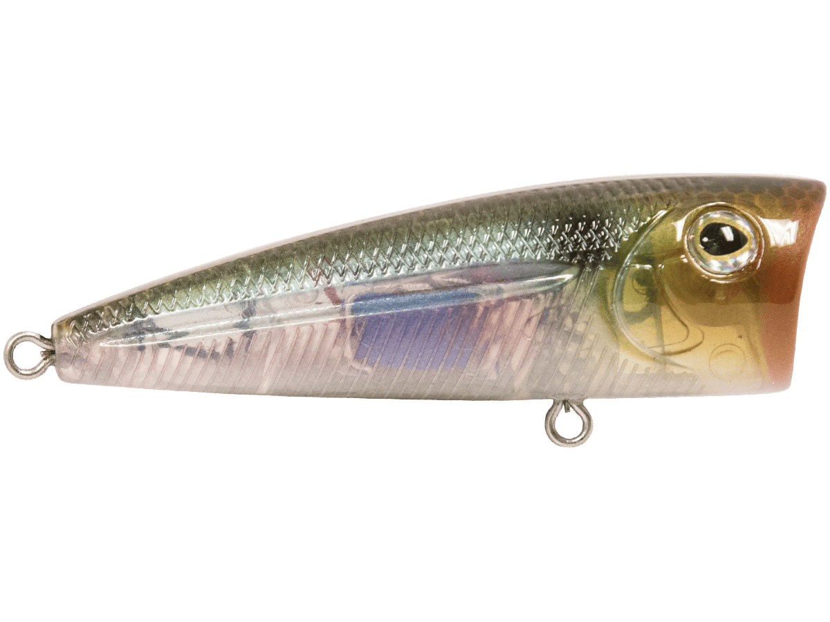 Livingston Lures Popper Walk N Pop 67
