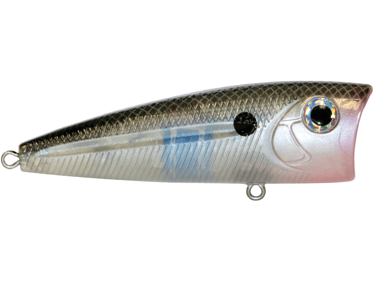 Livingston Lures Popper WALK N POP 77