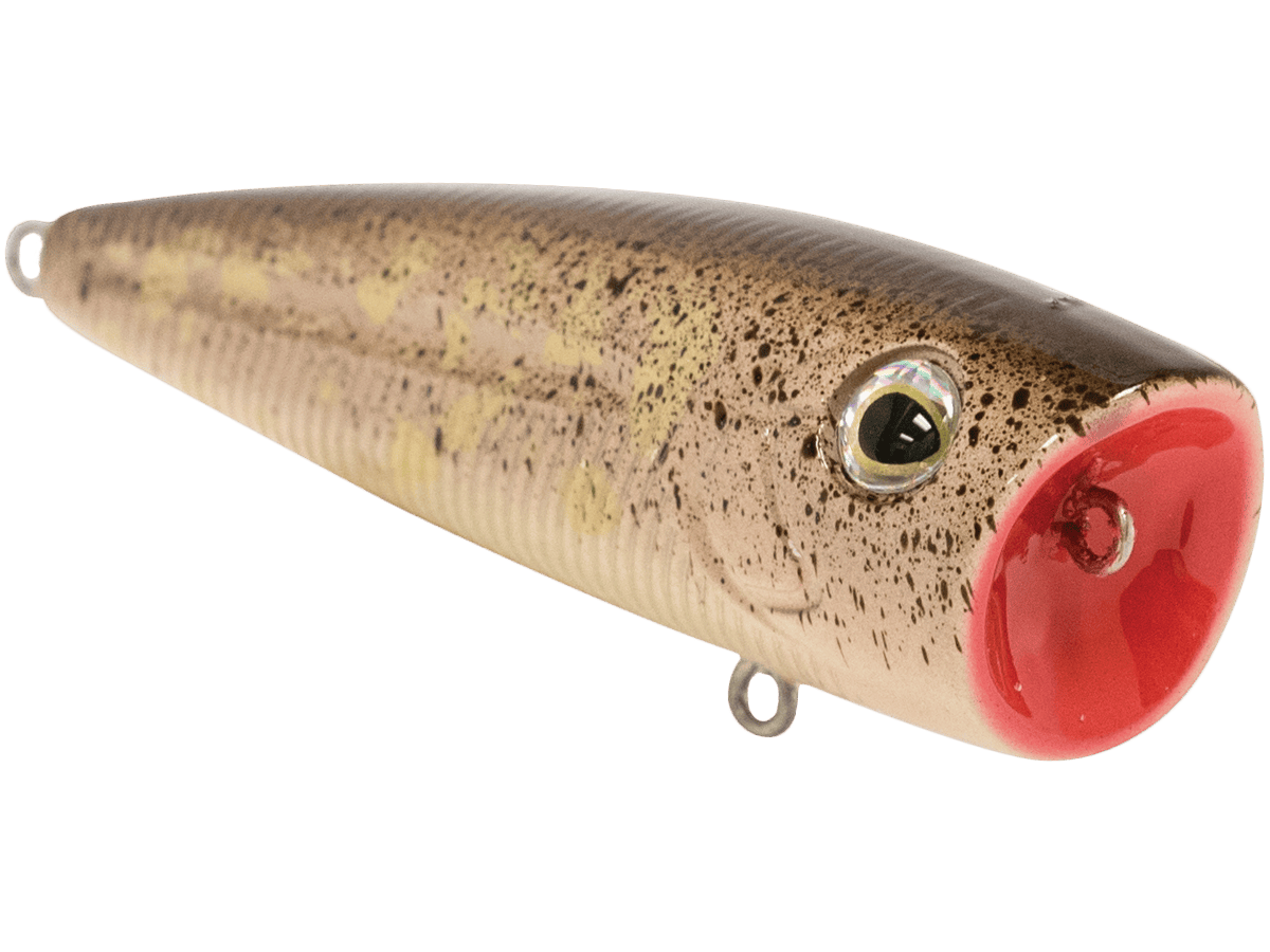 Livingston Lures Popper WALK N POP 77 2