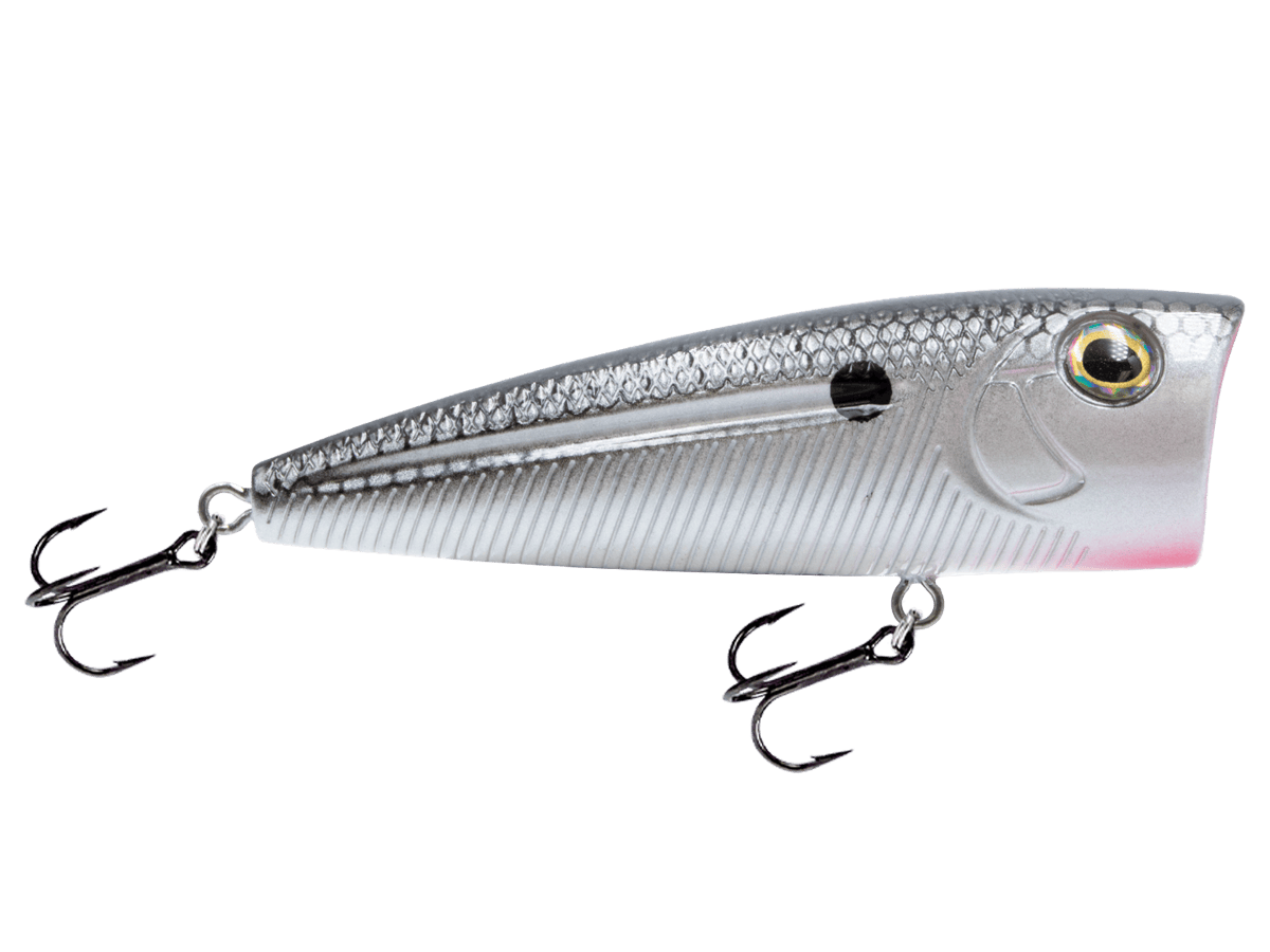 Livingston Lures Popper XXX Shad WALK N POP 77