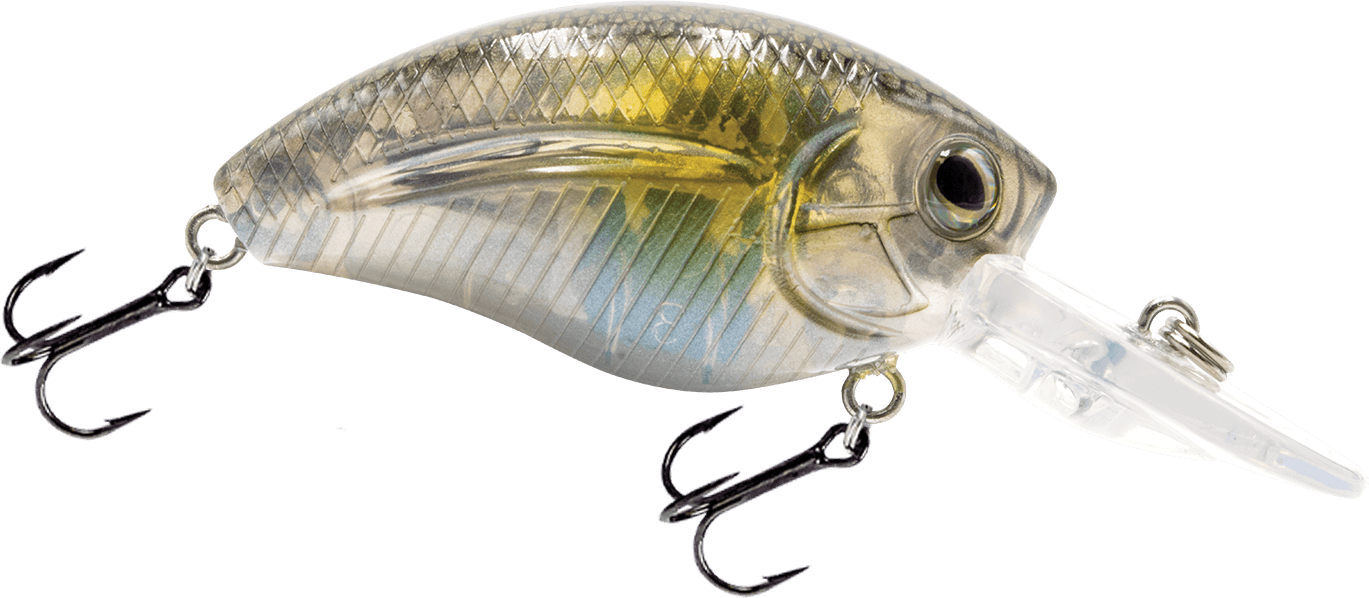 Livingston Lures Squarebill Ayu Howeller DMC Jr.