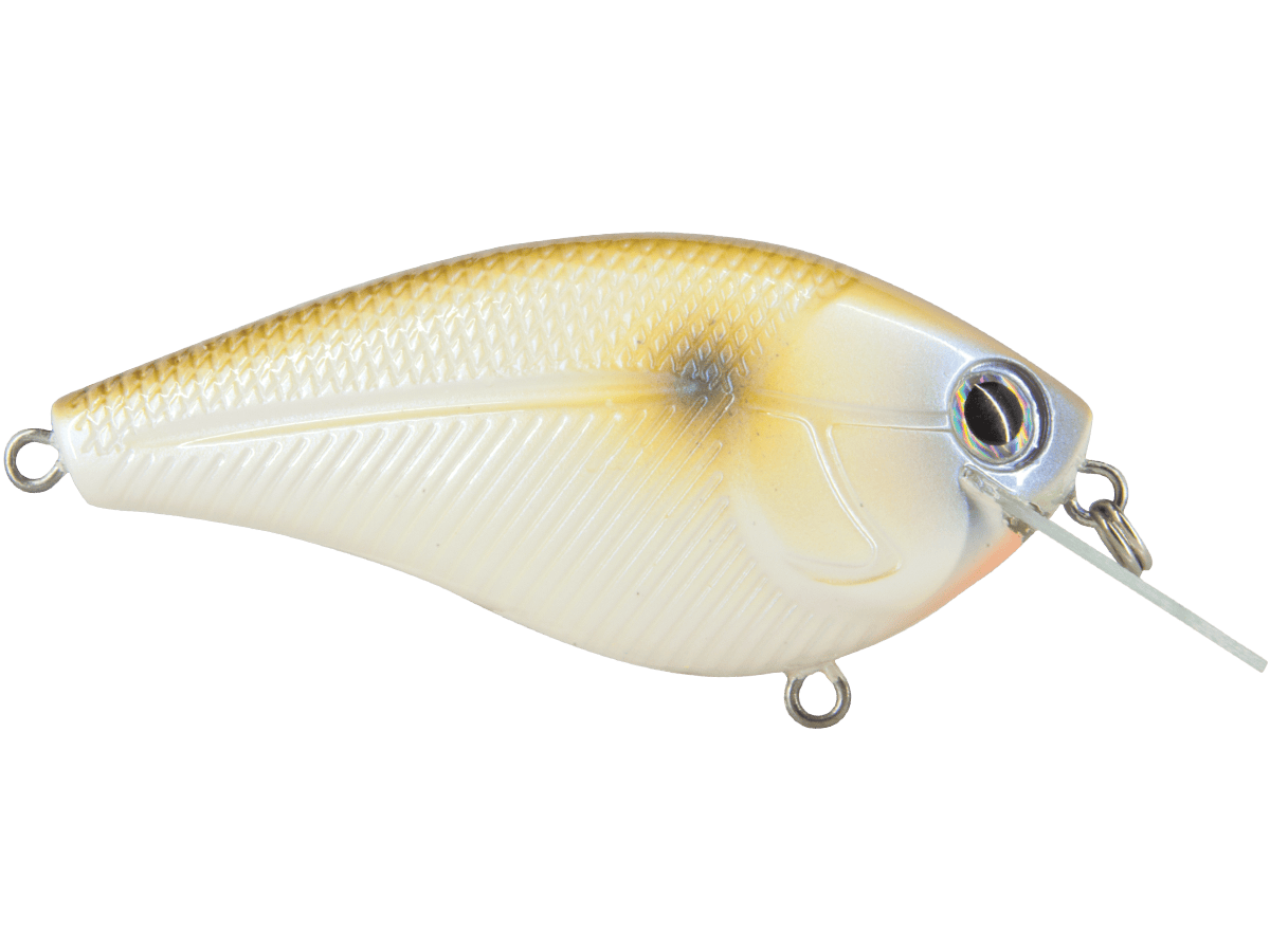 Livingston Lures Squarebill Bone Gizzard Shad Primetyme CB 2.0