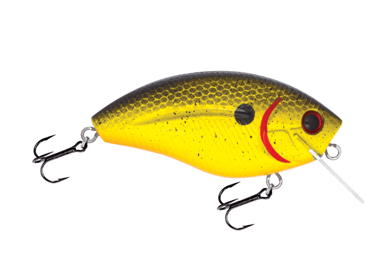 Livingston Lures Squarebill Chartreuse Splatter Shad Howeller DMC SQ