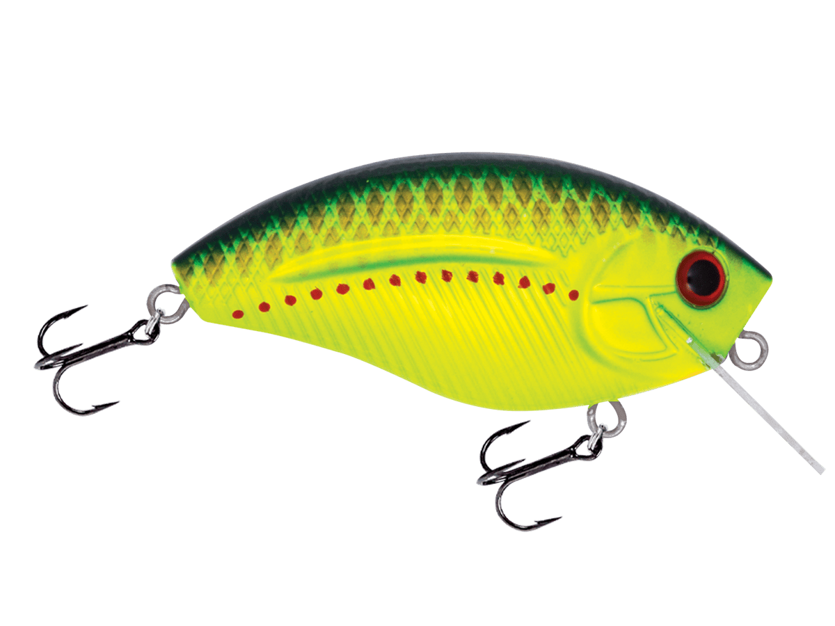 Livingston Lures Squarebill Copperhead Howeller DMC SQ