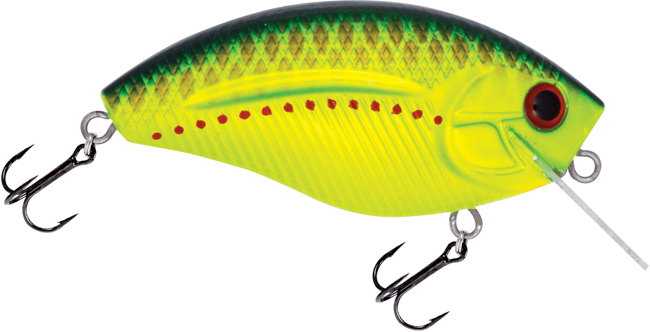 Livingston Lures Squarebill Copperhead Howeller DMC SQ