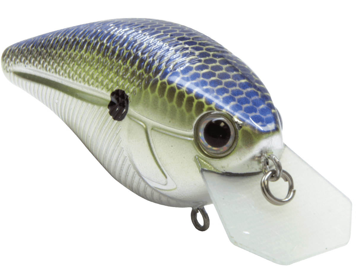 Livingston Lures Squarebill Primetyme CB 2.0