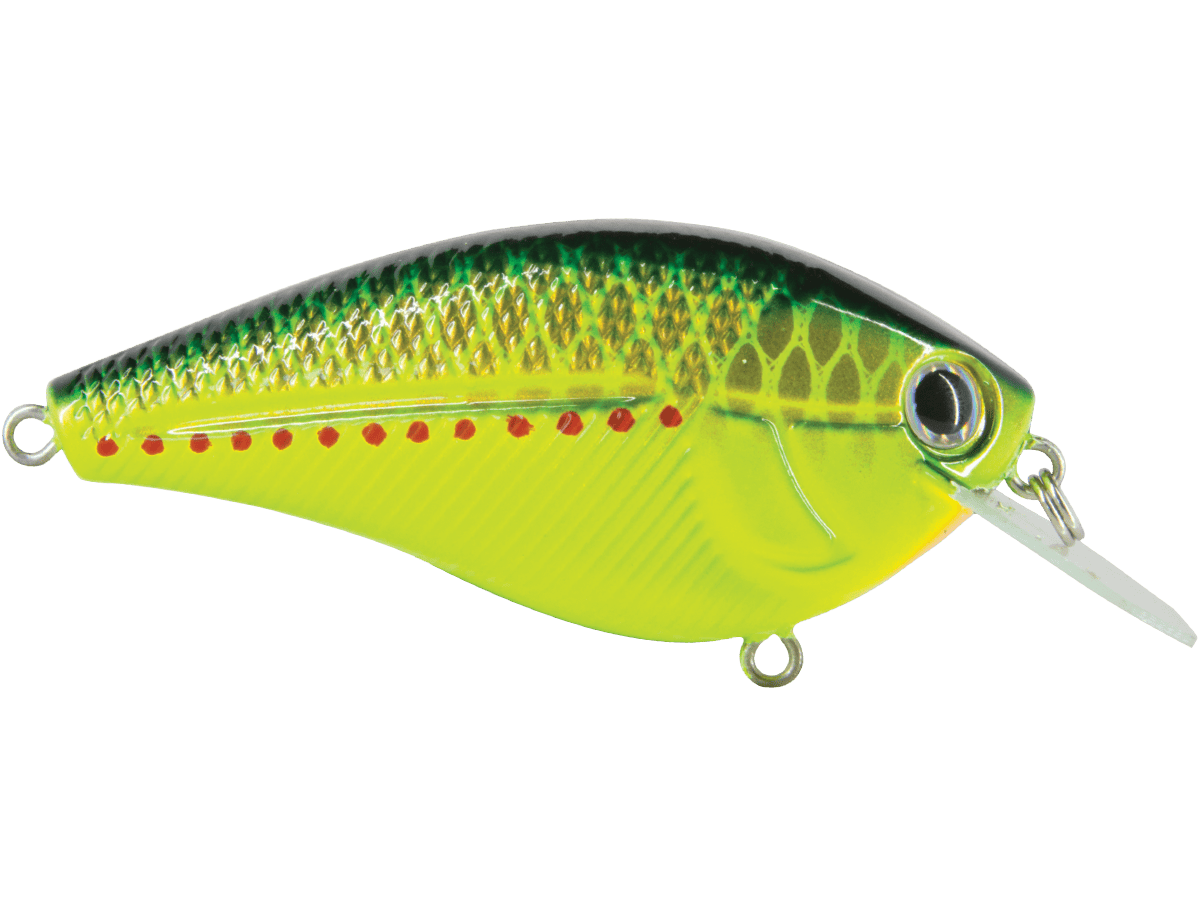 Livingston Lures Squarebill Primetyme CB 2.0