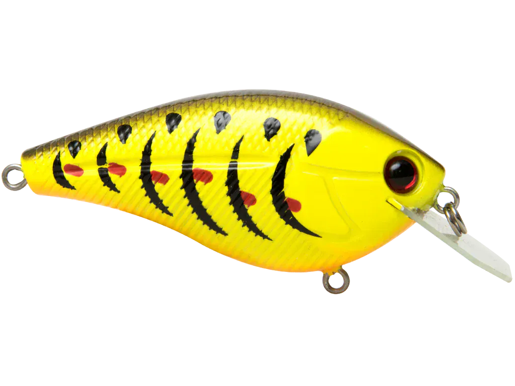 Livingston Lures Squarebill Primetyme CB 2.0