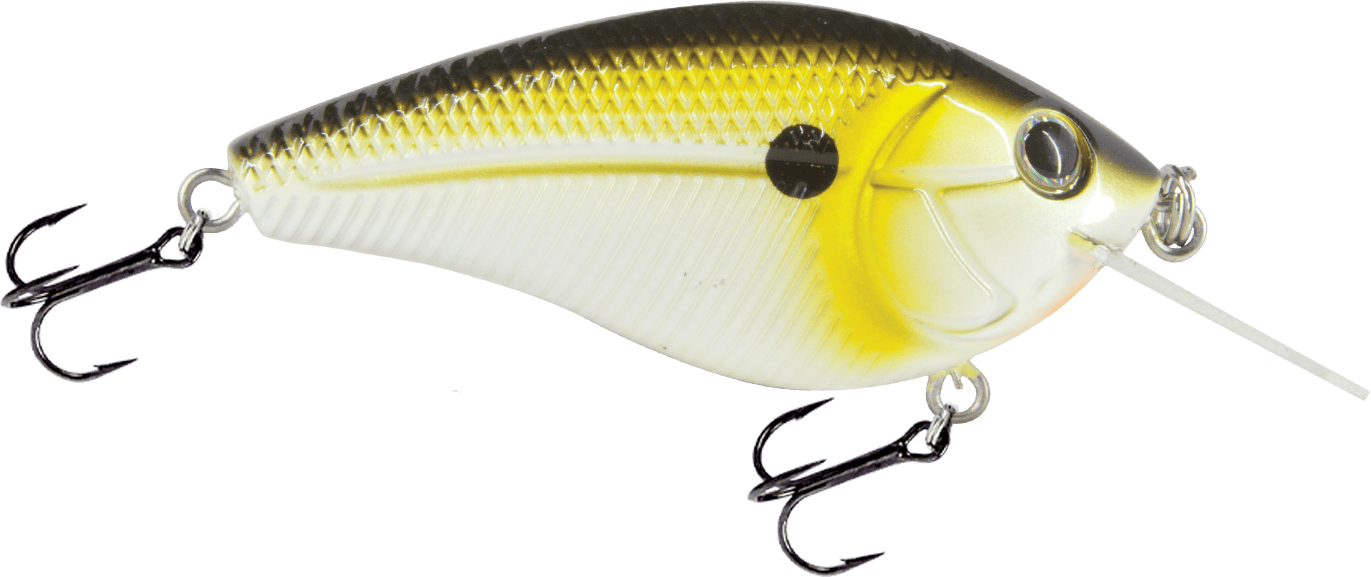 Livingston Lures Squarebill Tennessee Shad Primetyme CB 1.5