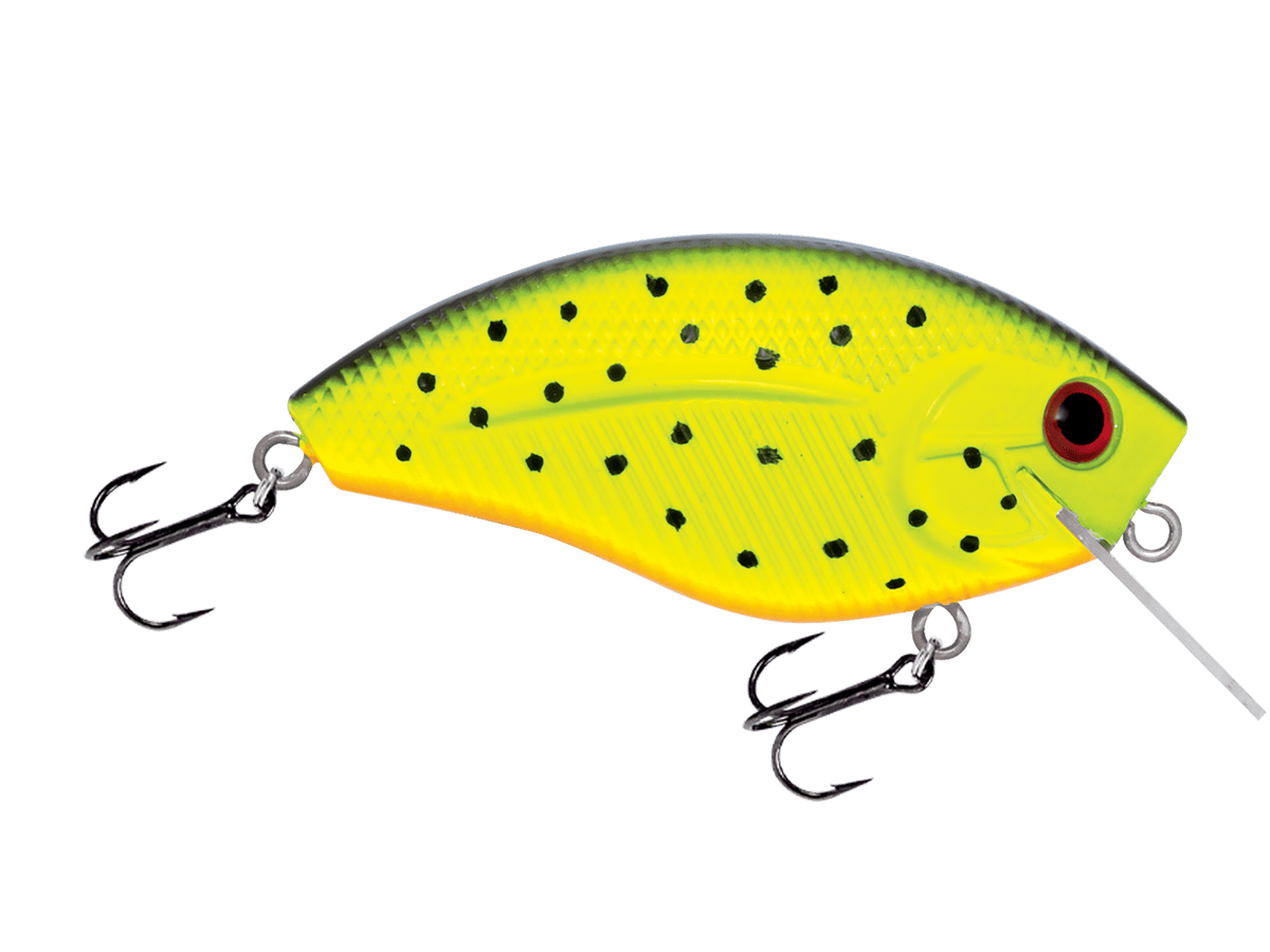 Livingston Lures Squarebill Tiger Spots Howeller DMC SQ