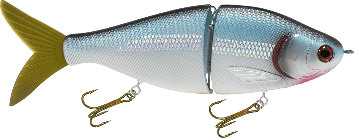 Livingston Lures Swimbait Holographic Silver Shiner / Perch Sound Viper 8"