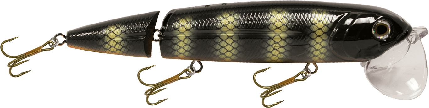 Livingston Lures Topwater Black Perch / Perch Sound Walking Boss II Magnum