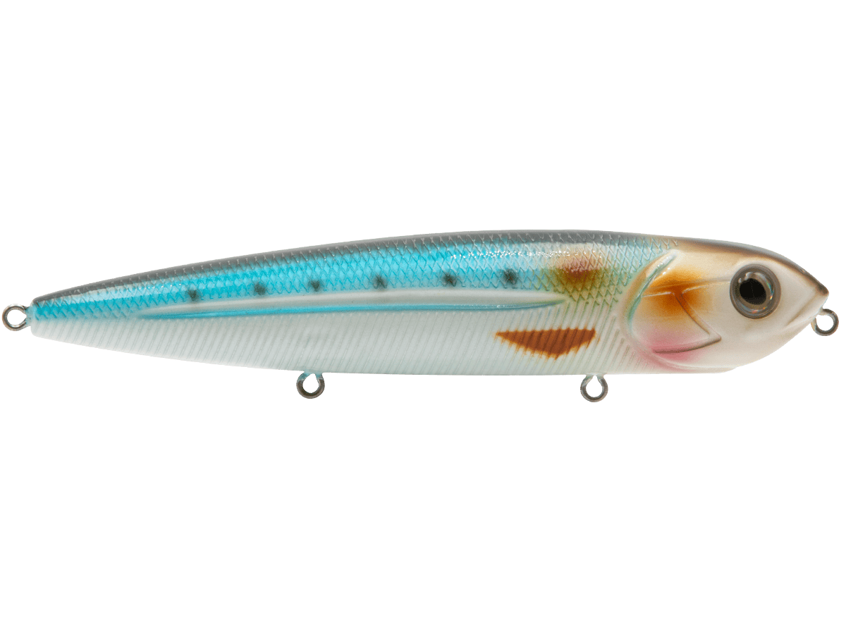Livingston Lures Topwater Blue Sardine Walking Boss Inshore