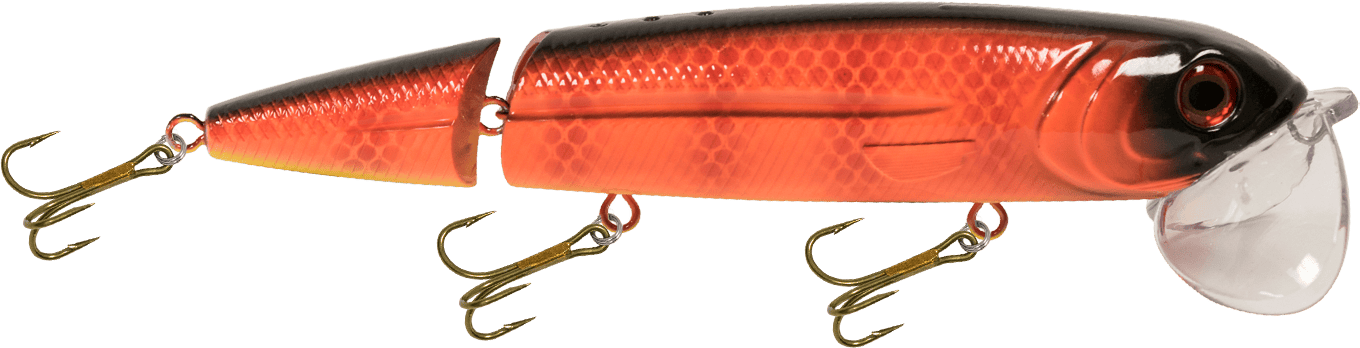 Livingston Lures Topwater Canadian Crush / Perch Sound Walking Boss II Magnum