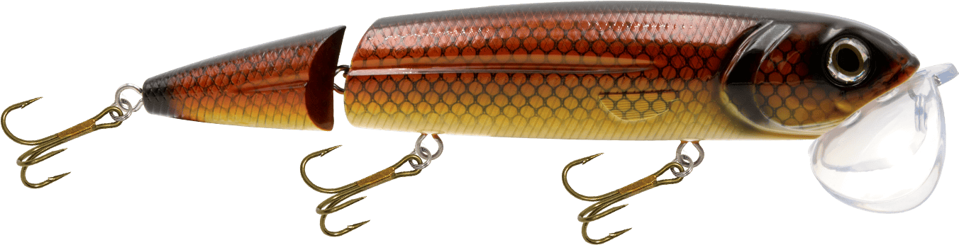 Livingston Lures Topwater Carp/Suckerfish / Perch Sound Walking Boss II Magnum