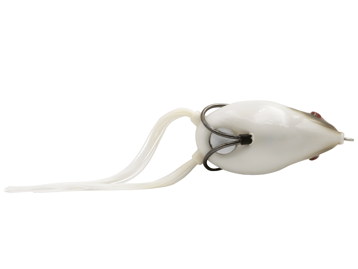 Livingston Lures Topwater Freddy B