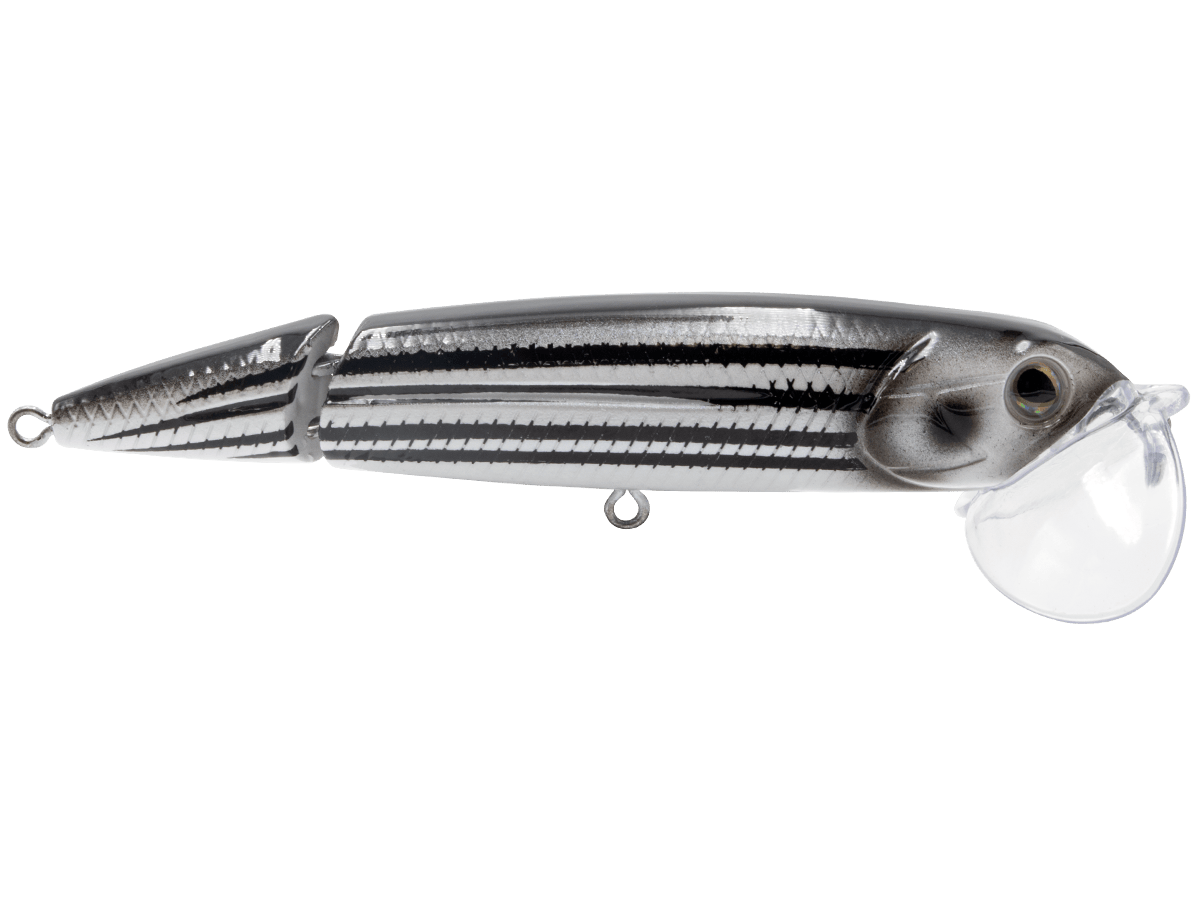 Livingston Lures Topwater Mullet Walking Boss II Jr.4"