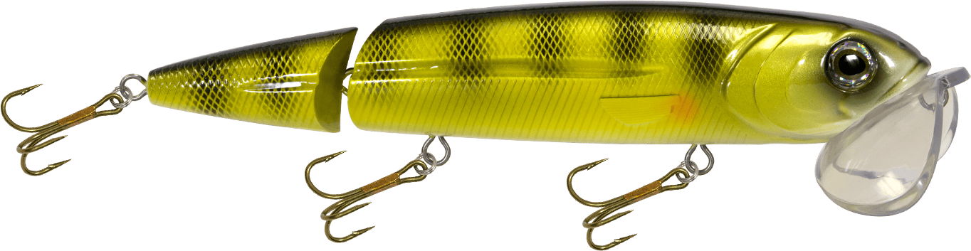 Livingston Lures Topwater Natural Perch / Perch Sound Walking Boss II Magnum