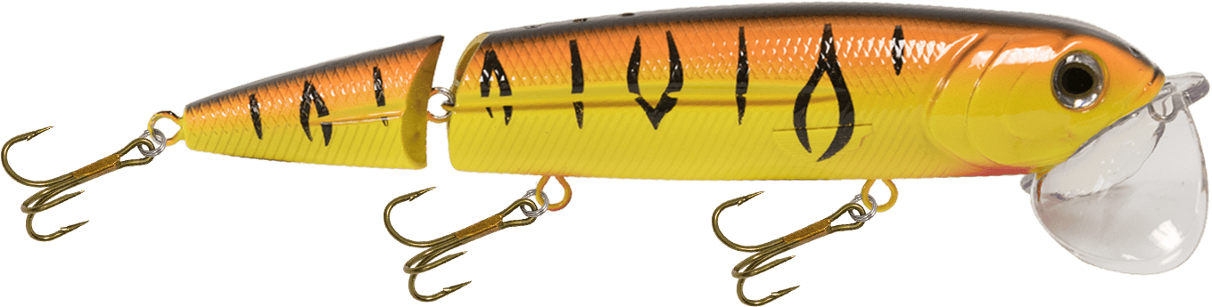 Livingston Lures Topwater Orange Tiger / Perch Sound Walking Boss II Magnum