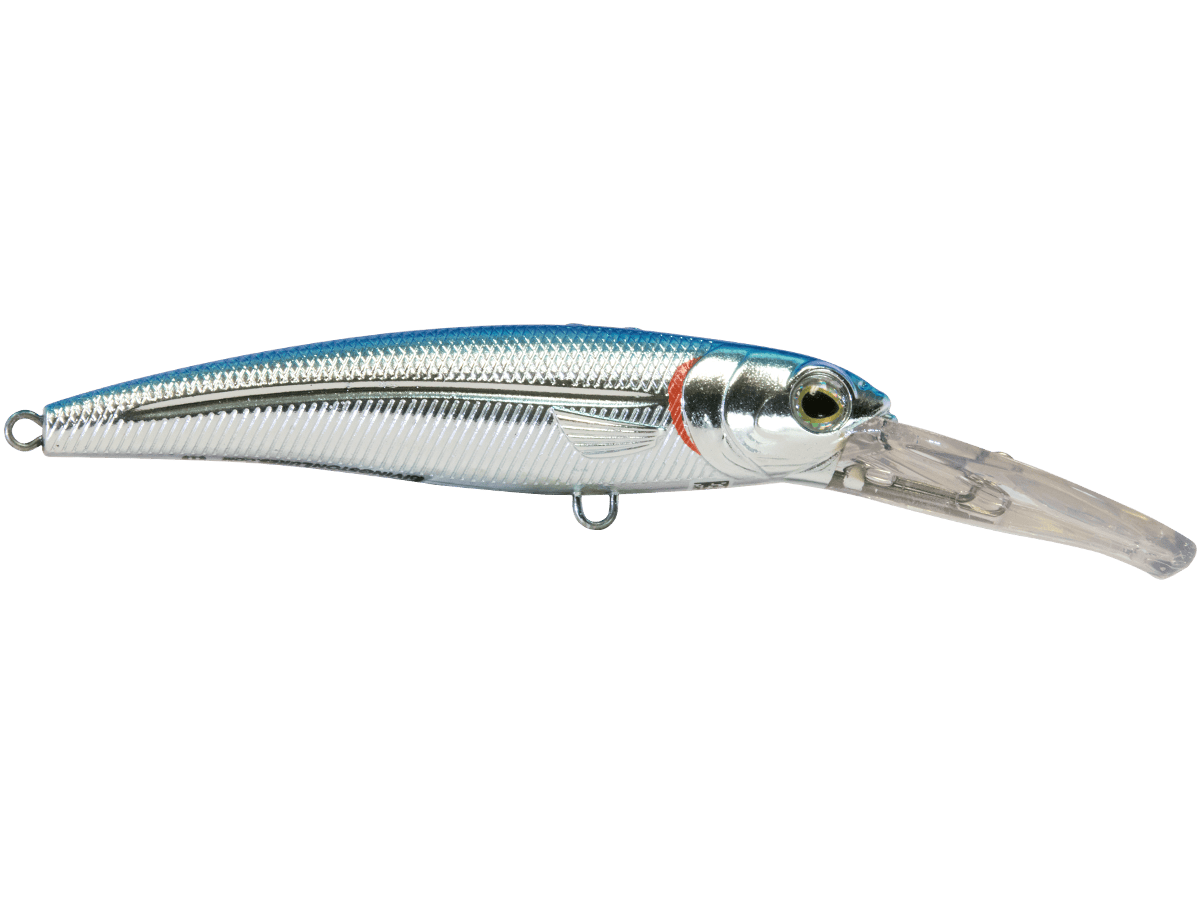 Livingston Lures Trolling Blue Back Chrome Shad Voyager