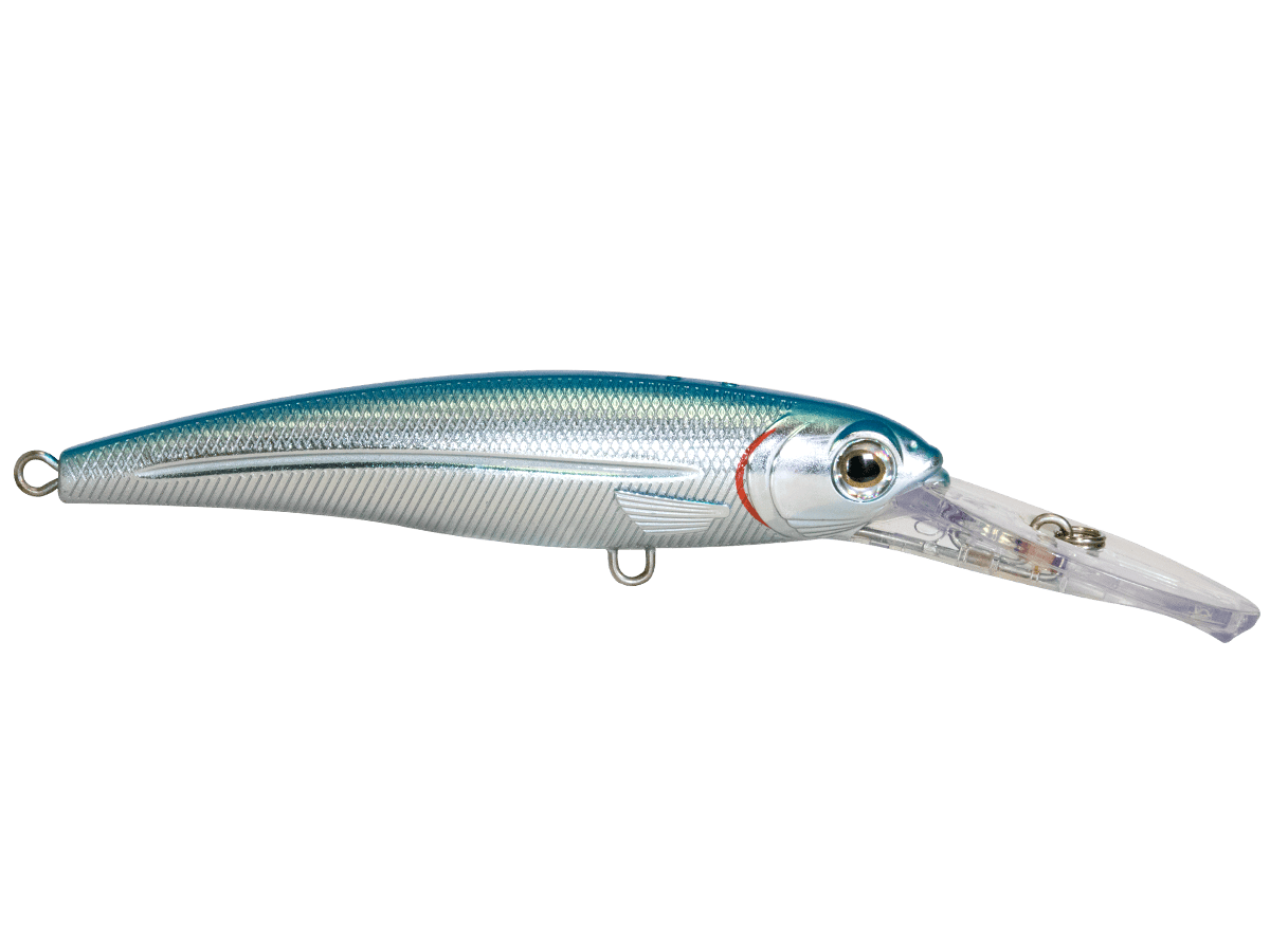 Livingston Lures Trolling Blue Back Chrome Shad Voyager Deep