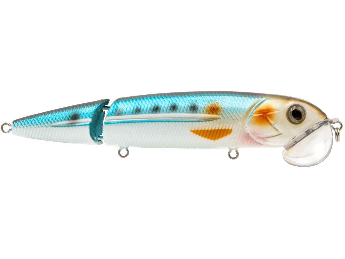 Livingston Lures Walking Baits Blue Sardine Walking Boss II Inshore