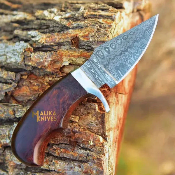 MALIKA KNIVES simple Mini Damascus Hunting Knife with Rosewood Handle