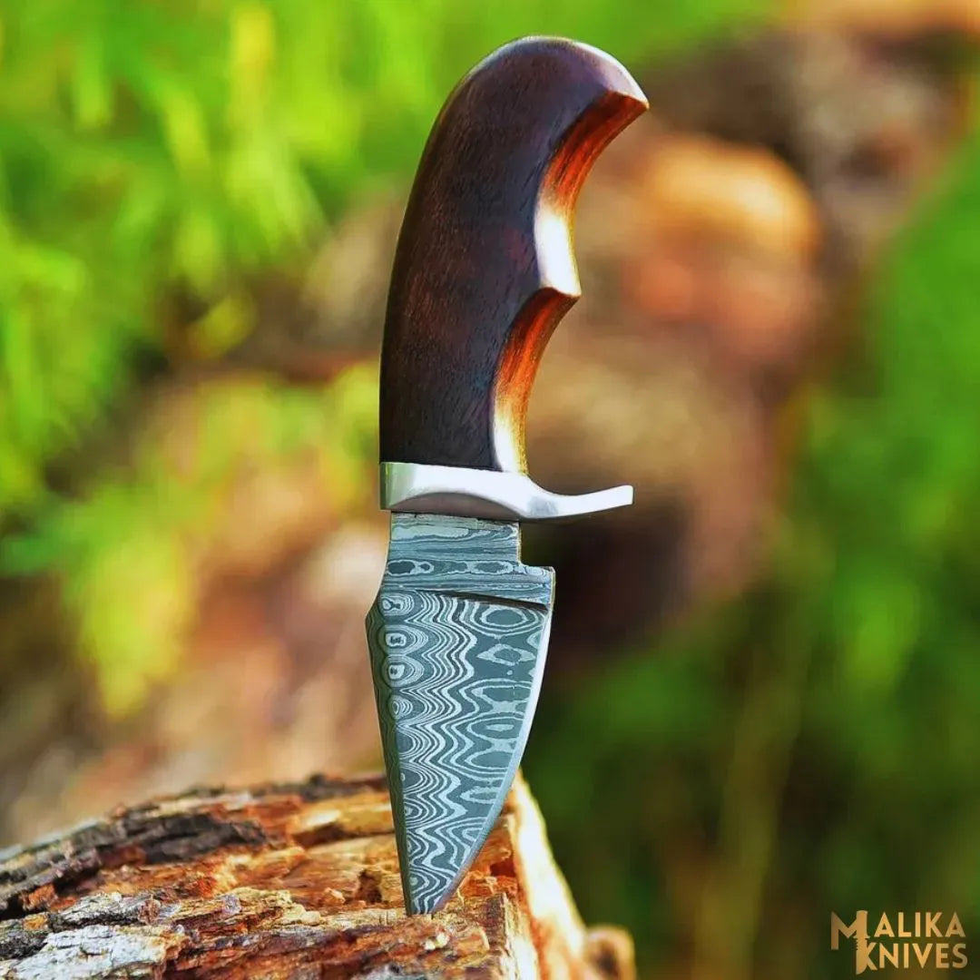 MALIKA KNIVES simple Mini Damascus Hunting Knife with Rosewood Handle