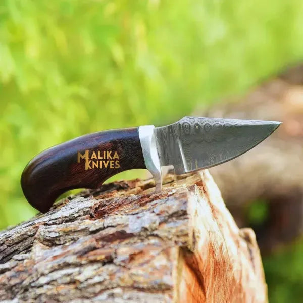 MALIKA KNIVES simple Mini Damascus Hunting Knife with Rosewood Handle