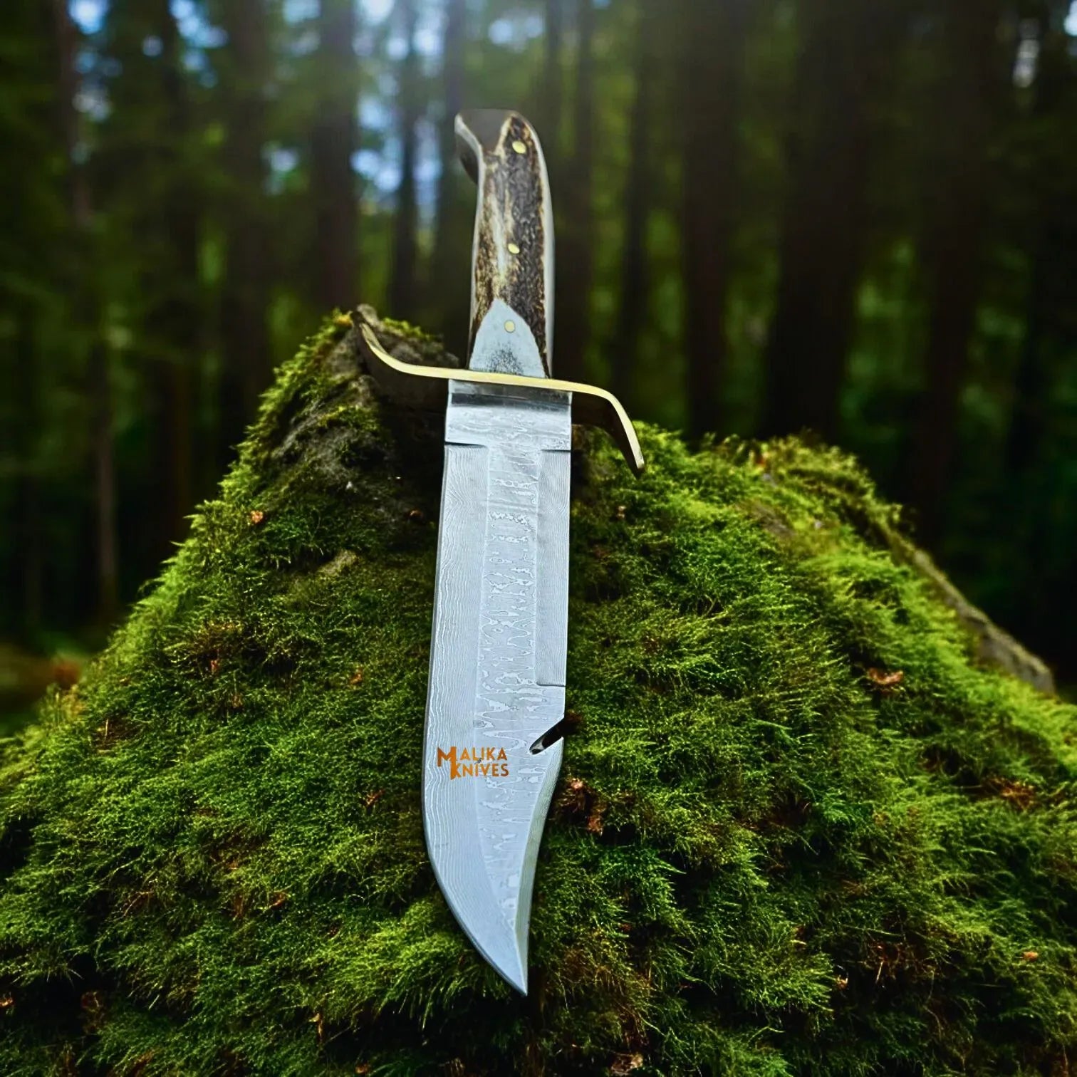 MALIKA KNIVES simple SS Damascus Gut Hook Bowie Knife Stag Antler Handle Sheath