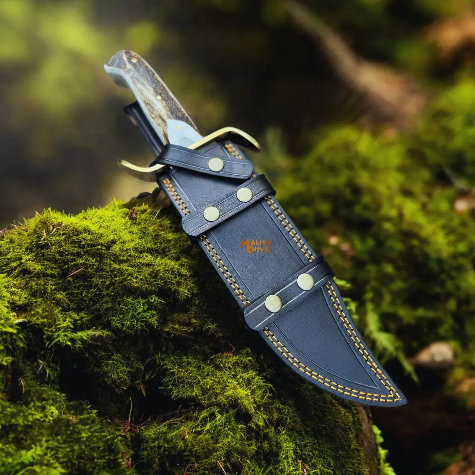 MALIKA KNIVES simple SS Damascus Gut Hook Bowie Knife Stag Antler Handle Sheath