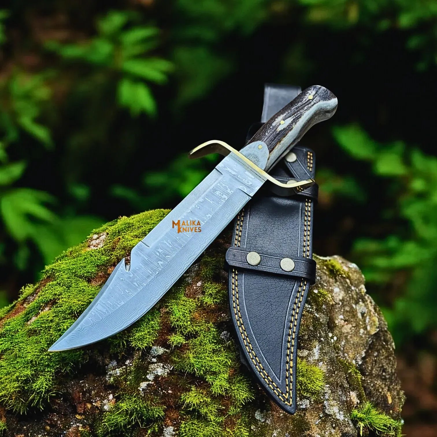 MALIKA KNIVES simple SS Damascus Gut Hook Bowie Knife Stag Antler Handle Sheath