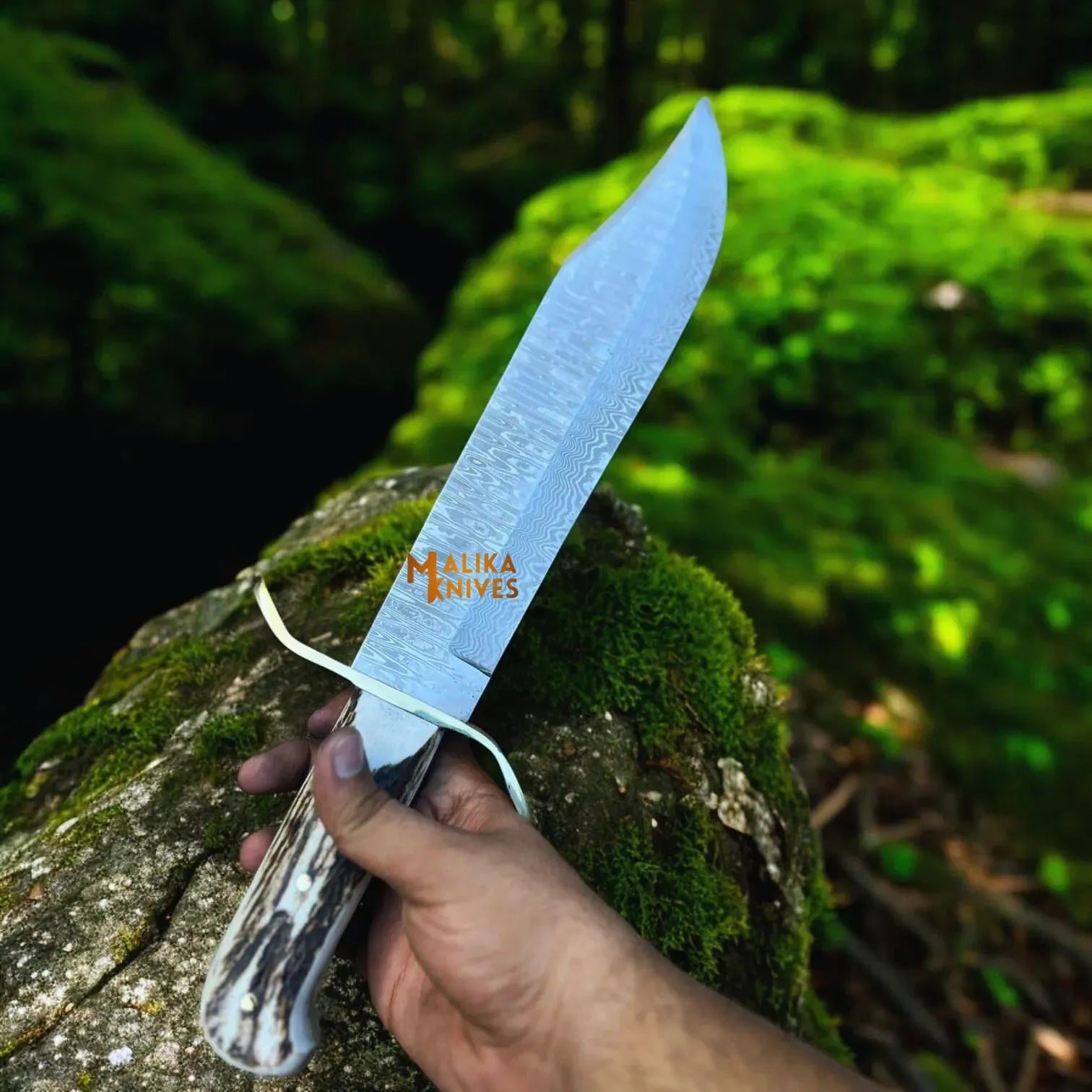 MALIKA KNIVES simple Wild West Bowie Knife Stainless Damascus Stag Handle