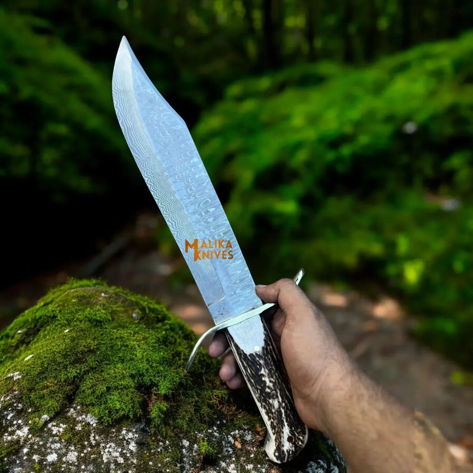 MALIKA KNIVES simple Wild West Bowie Knife Stainless Damascus Stag Handle
