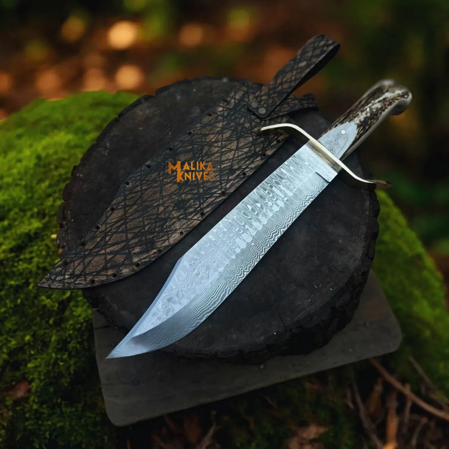 MALIKA KNIVES simple Wild West Bowie Knife Stainless Damascus Stag Handle