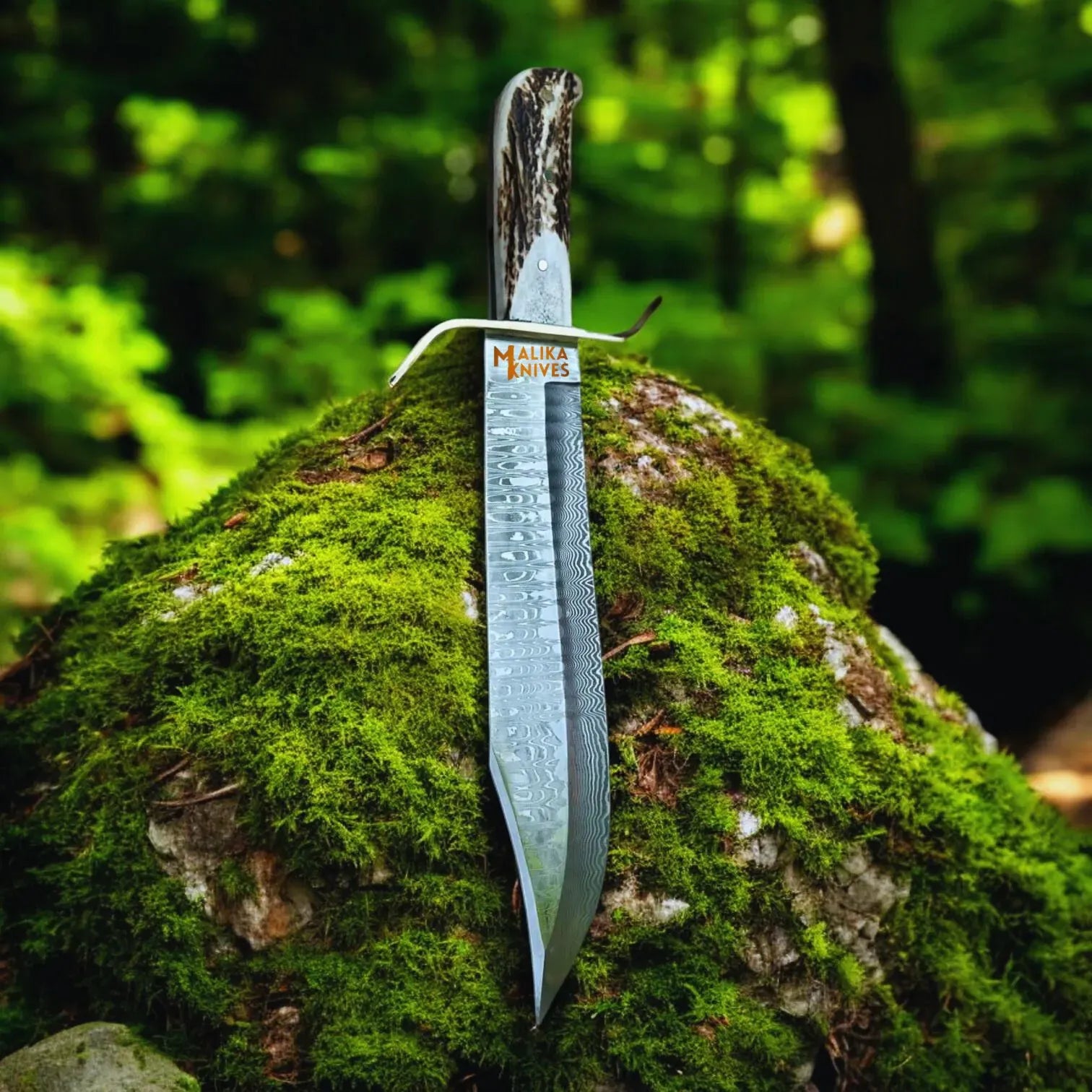 MALIKA KNIVES simple Wild West Bowie Knife Stainless Damascus Stag Handle