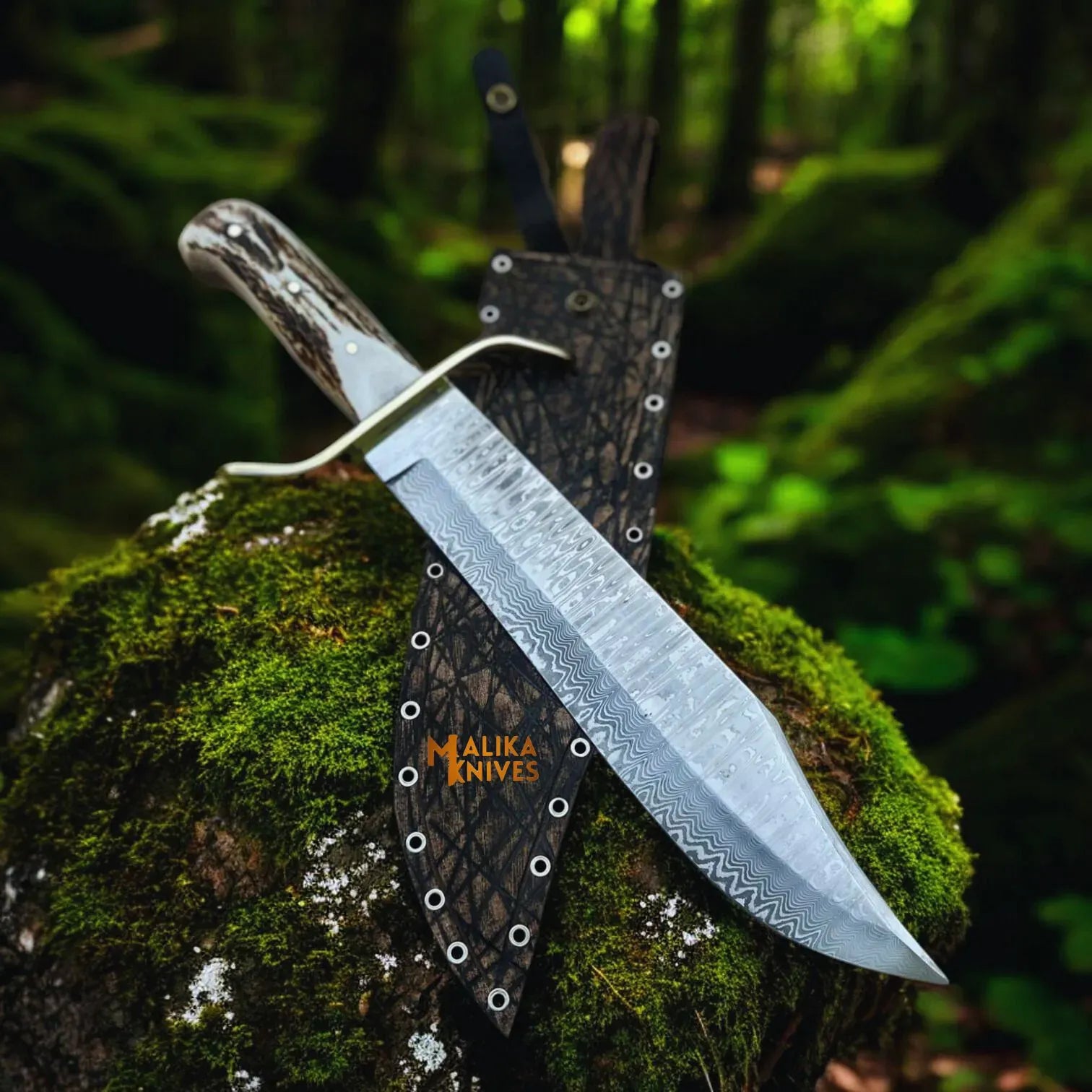 MALIKA KNIVES simple Wild West Bowie Knife Stainless Damascus Stag Handle