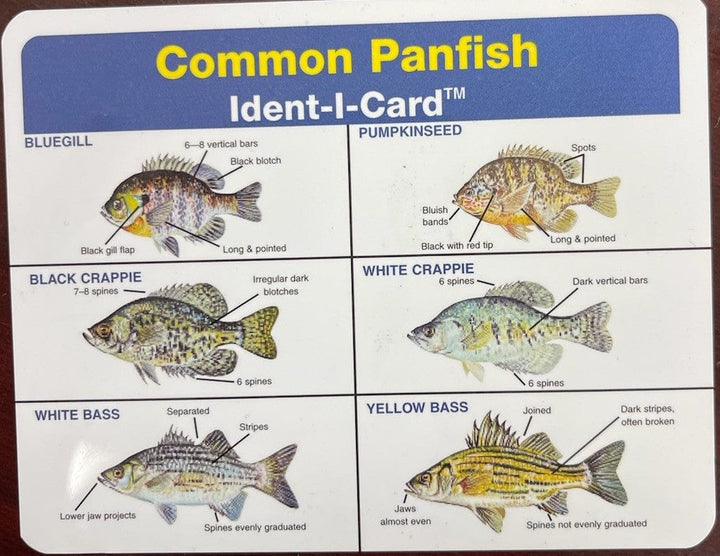 MONSTERBASS Accessories MONSTERBASS Fish Identifier Cards