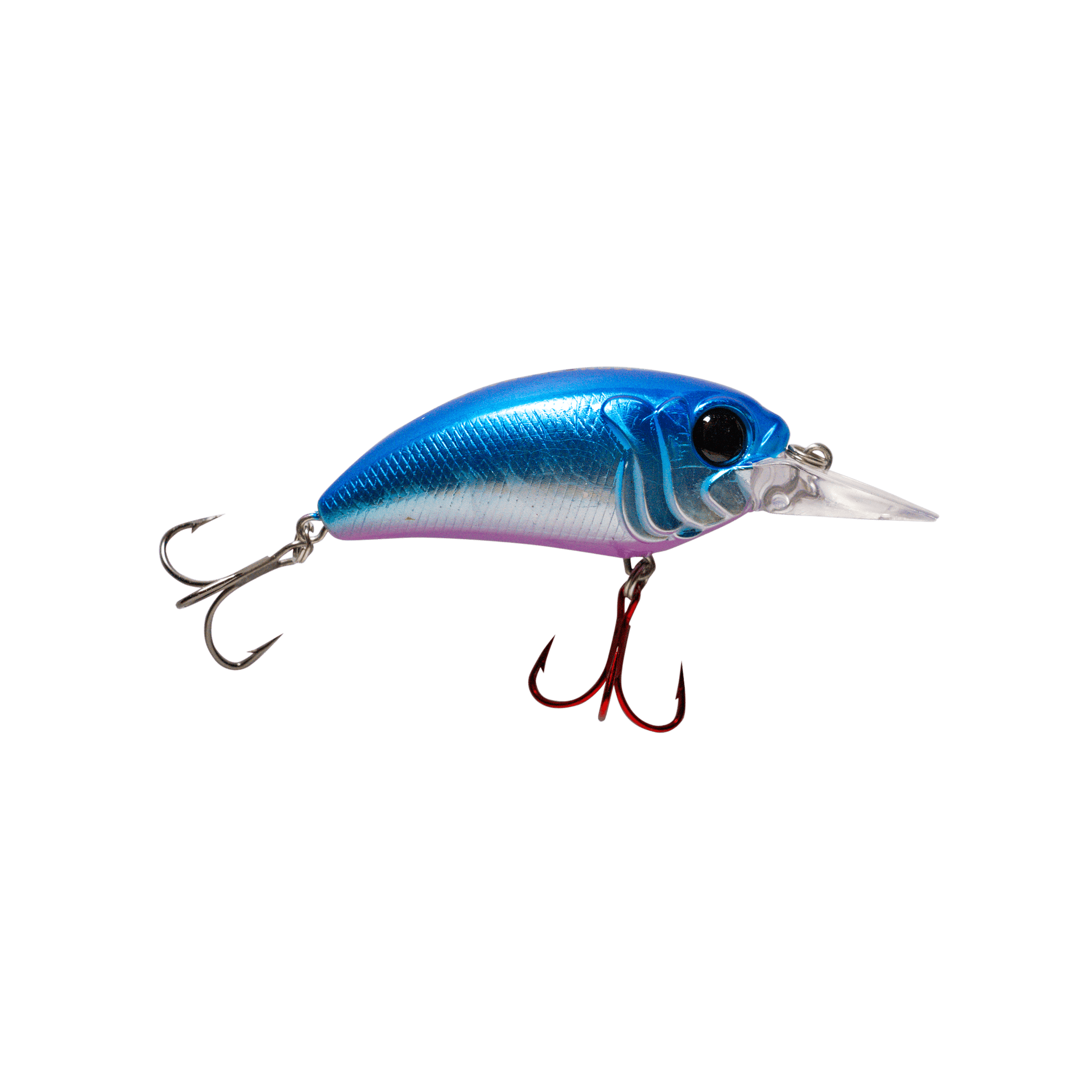 Seeker 6 Medium Diving Crankbait for Bass – MONSTERBASS
