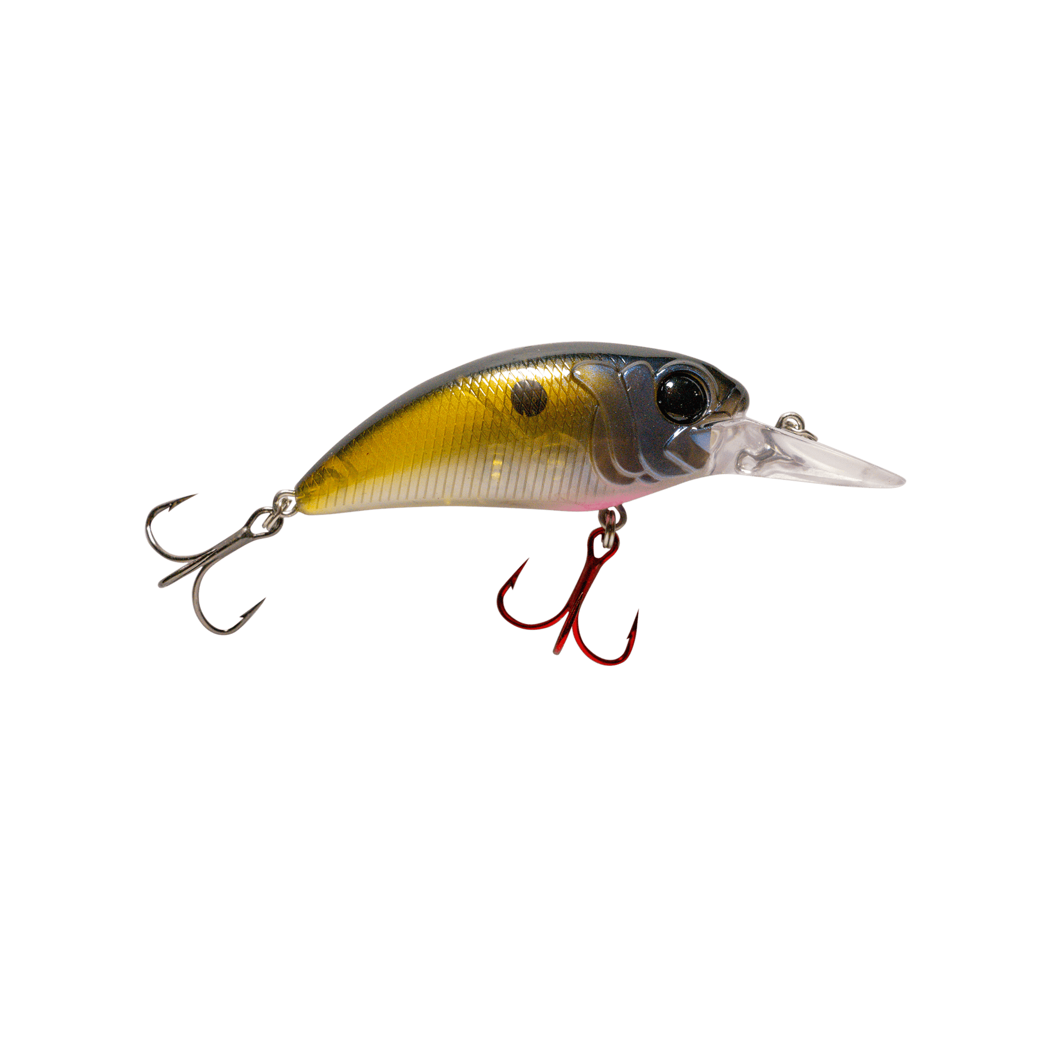Seeker 8 Medium Diving Crankbait for Bass MONSTERBASS Seeker 8 Medium Diving Crankbait for Bass MONSTERBASS